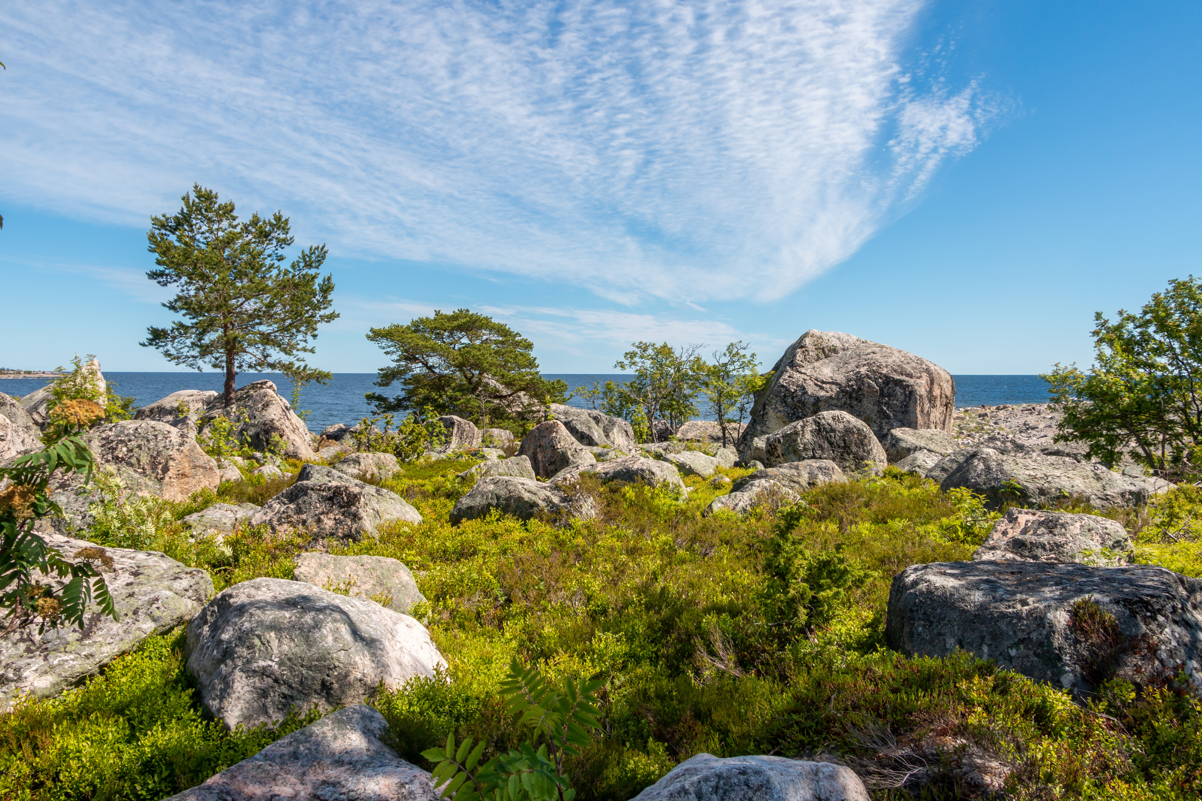 gulf of bothnia (2).webp